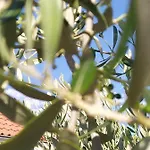度假居 Kuca Za Odmor Mira Blizu Biograda Na Moru